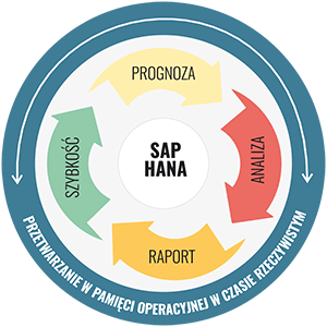 Proces przetwarzania SAP HANA